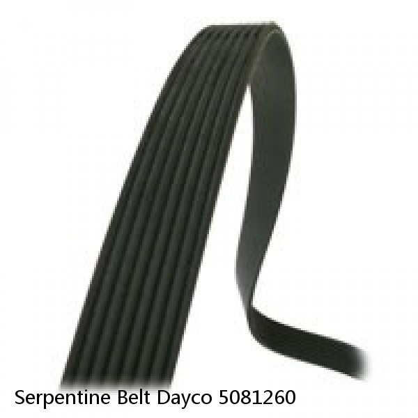 Serpentine Belt Dayco 5081260