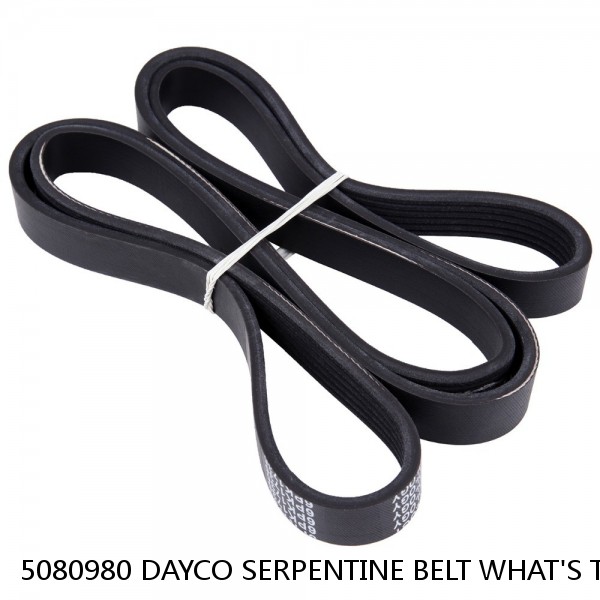 5080980 DAYCO SERPENTINE BELT WHAT'S THE BEST PRICE ON BELTS