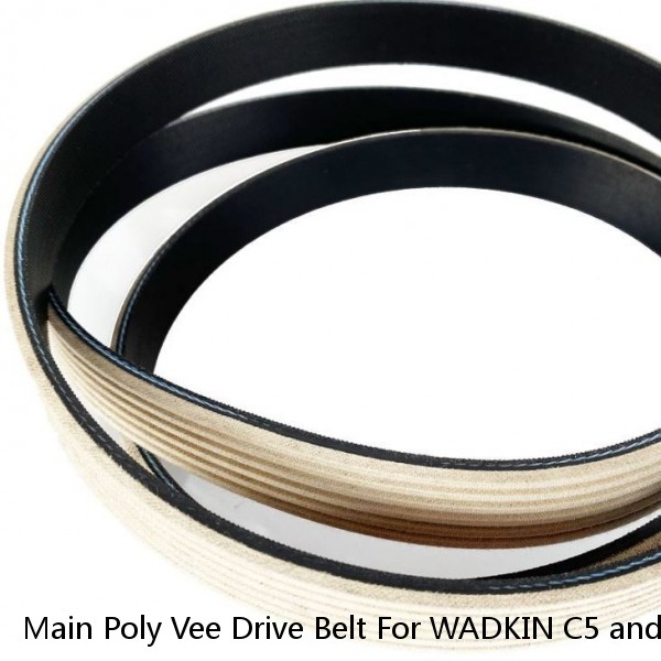 Main Poly Vee Drive Belt For WADKIN C5 and C6 Bandsaws - GENUINE PARTS