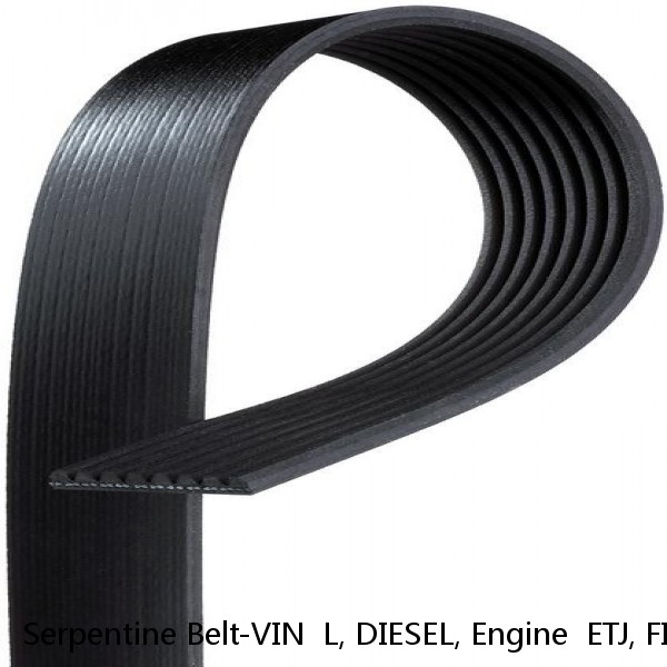 Serpentine Belt-VIN  L, DIESEL, Engine  ETJ, FI, Turbo, Bando 8PK3210