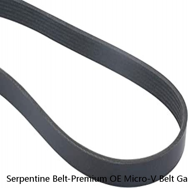 Serpentine Belt-Premium OE Micro-V Belt Gates K060841