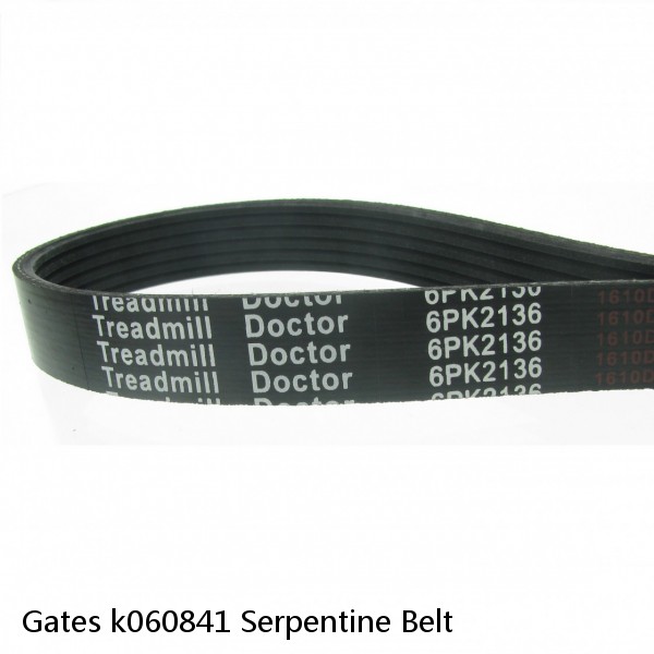 Gates k060841 Serpentine Belt