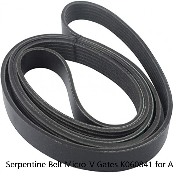 Serpentine Belt Micro-V Gates K060841 for Acura MDX RL TL Honda Accord Mercedes