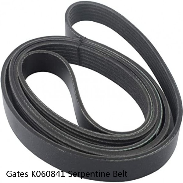 Gates K060841 Serpentine Belt