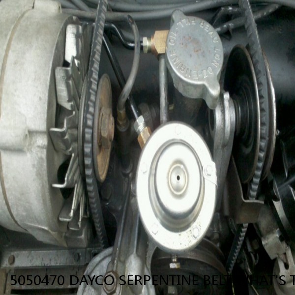 5050470 DAYCO SERPENTINE BELT WHAT'S THE BEST PRICE ON BELTS